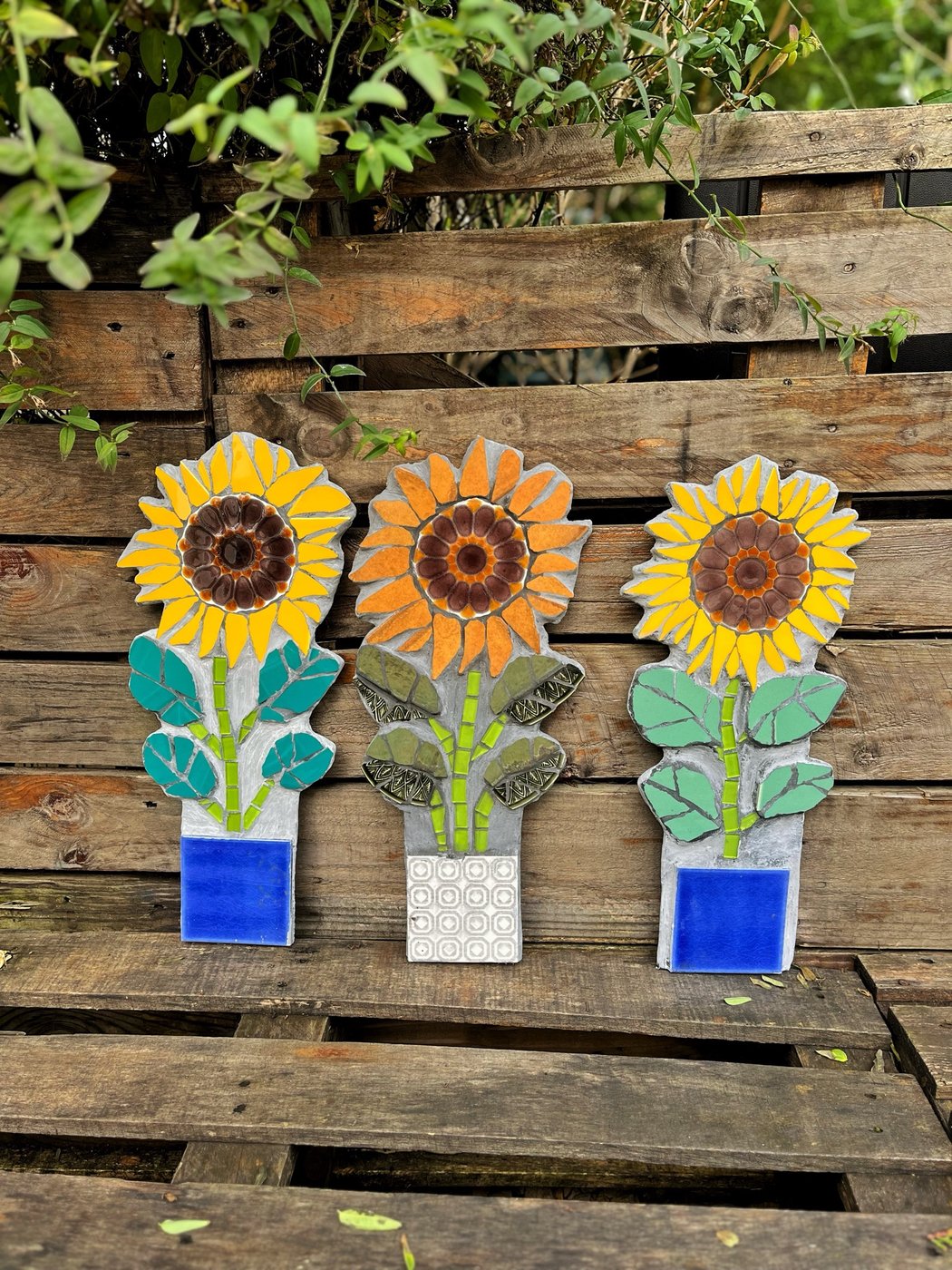 Three mosaic sunflowers with different leaf and pot colours