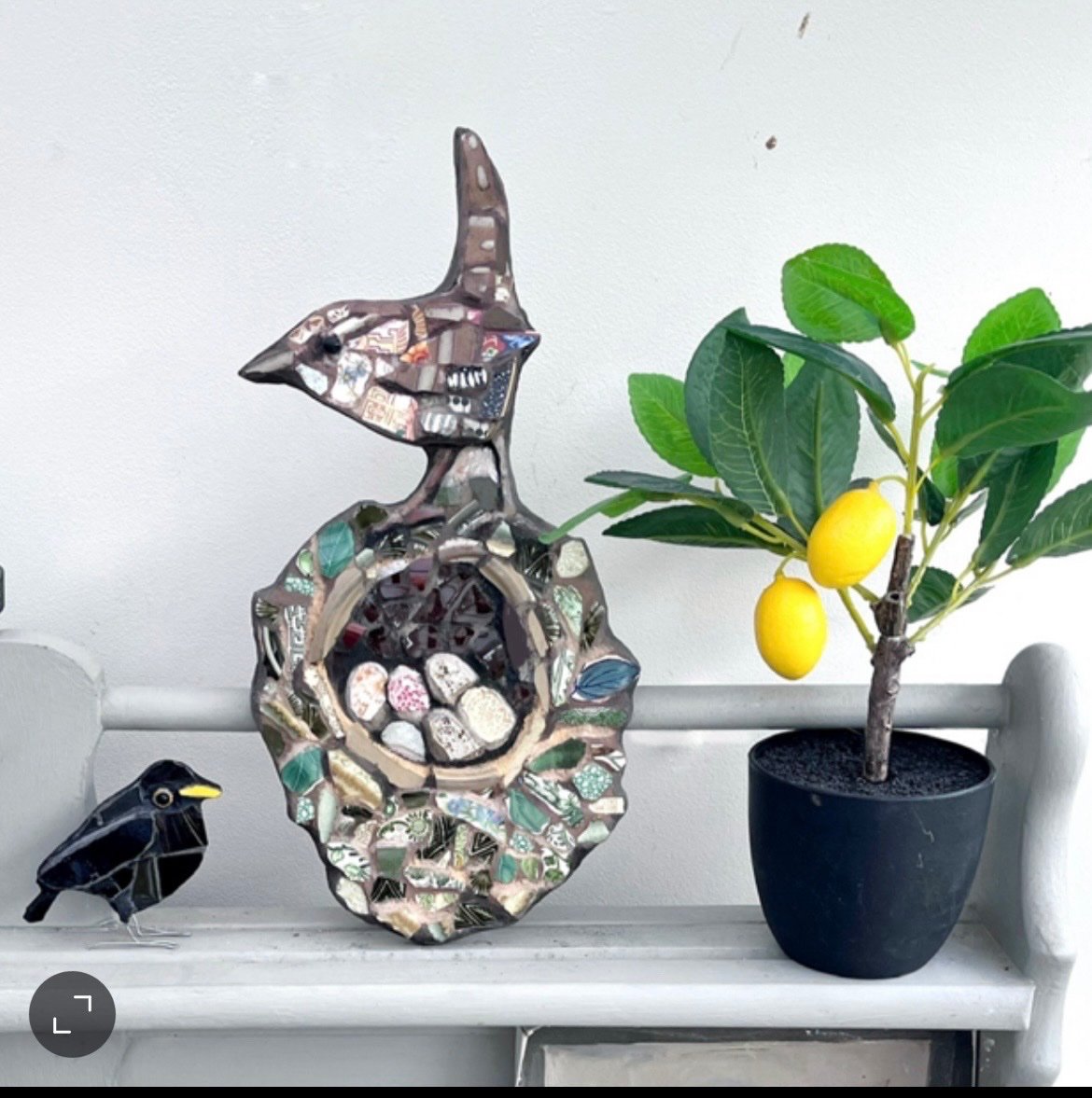 Mosaic wren on a nest displayed beside a small lemon tree